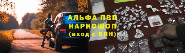 прущий лед Каменка