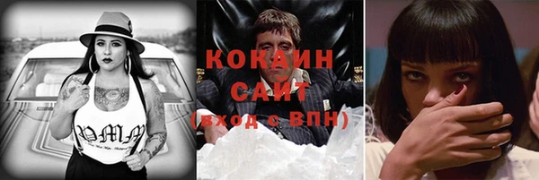 прущий лед Каменка