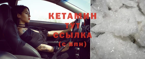 прущий лед Каменка
