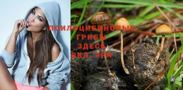 мдпв Каменногорск