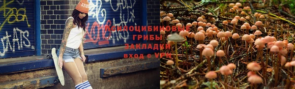 apvp Каменск-Шахтинский