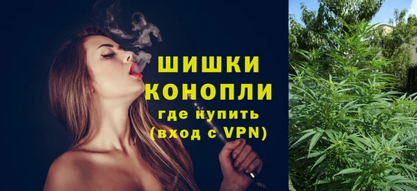 прущий лед Каменка