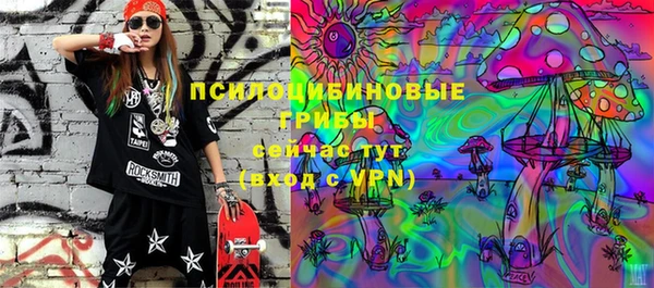 apvp Каменск-Шахтинский