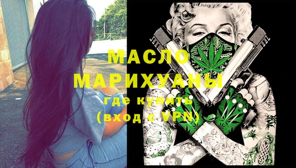мдпв Каменногорск