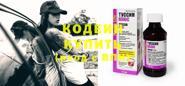 прущий лед Каменка