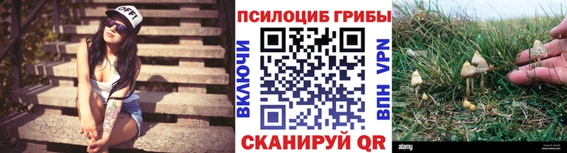 Купить  Дмитриев  Псилоцибиновые грибы мухоморы 